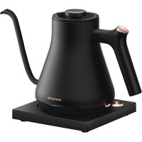 INSTASTING Electric Professional Gooseneck Kettle 0.65mm Ultra-Fine Sprout (0.9L/30oz) - Auto Shut-Off, Boil Dry Protection - Matte Black 