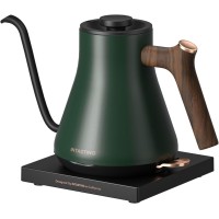 INSTASTING Electric Professional Gooseneck Kettle 0.65mm Ultra-Fine Sprout (0.9L/30oz) - Auto Shut-Off, Boil Dry Protection - Matte Green w/ Dark Brown Handle 